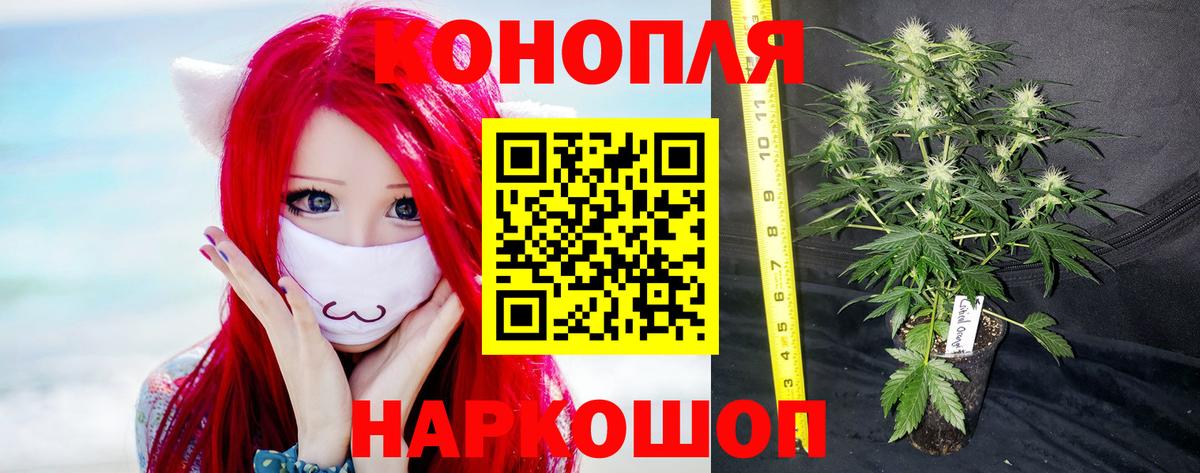 Бошки Шишки сатива Сарапул